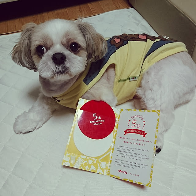 ronさんの実例写真