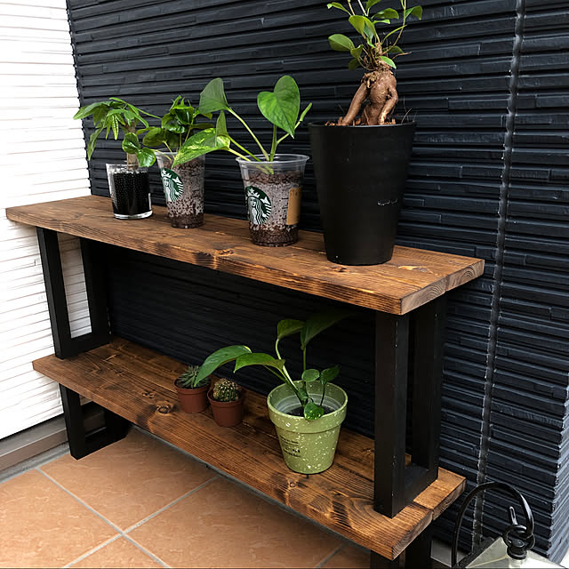 植物棚 縦横無尽 植物棚 縦横無尽