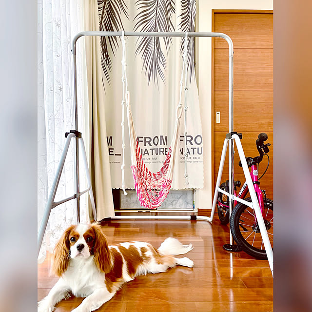 k.k.kinokoさんの実例写真