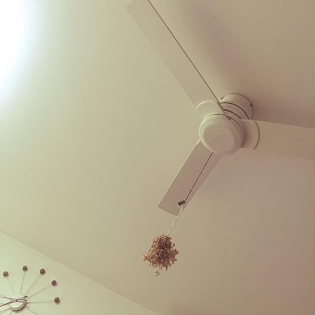 fujikoさんの実例写真
