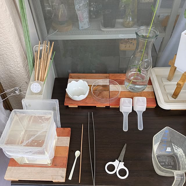 mi-saさんの部屋