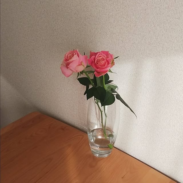 Ayaさんの実例写真