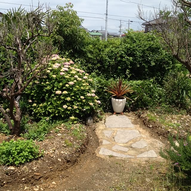 salyuさんの実例写真