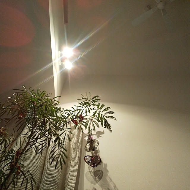 kumiさんの実例写真