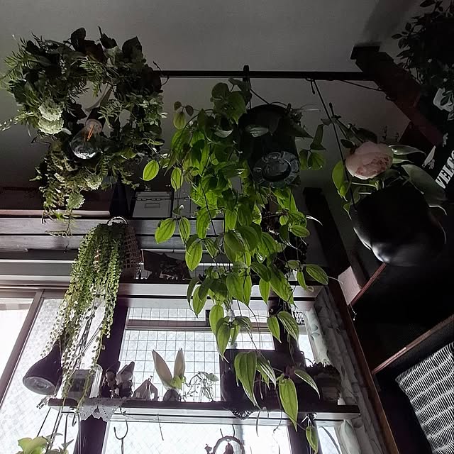 noaさんの実例写真