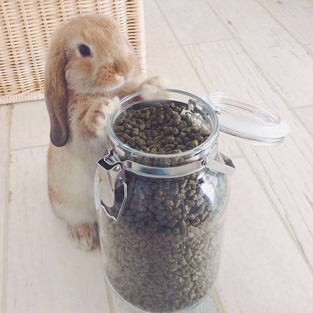 aoさんの実例写真