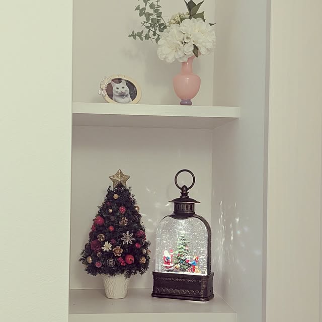 shiratamaさんの部屋