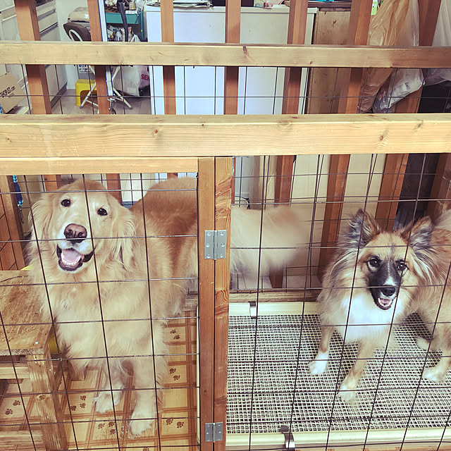 Youkoさんの実例写真
