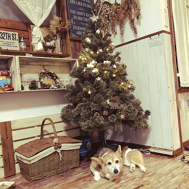 kumiさんの実例写真