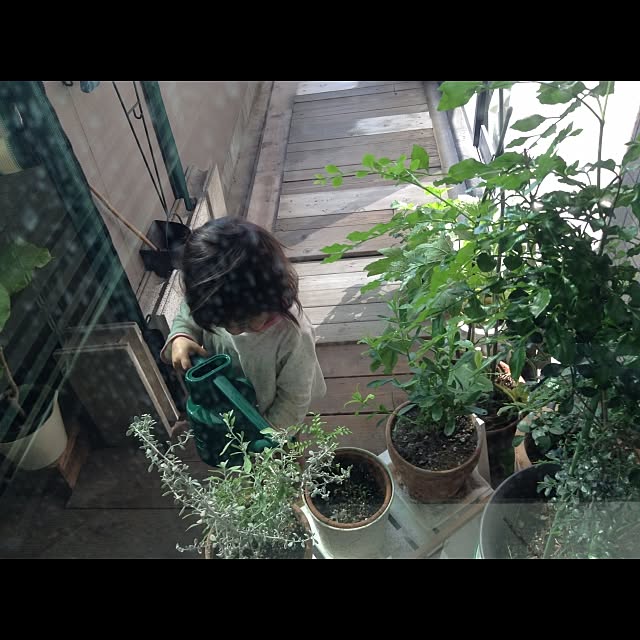 aya-sanさんの実例写真