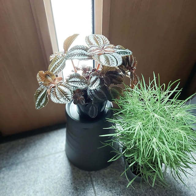 makkyさんの実例写真