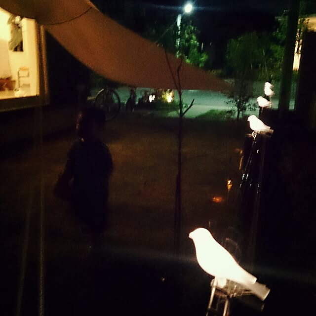 urchinさんの実例写真