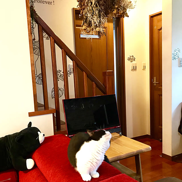 butachanさんの実例写真