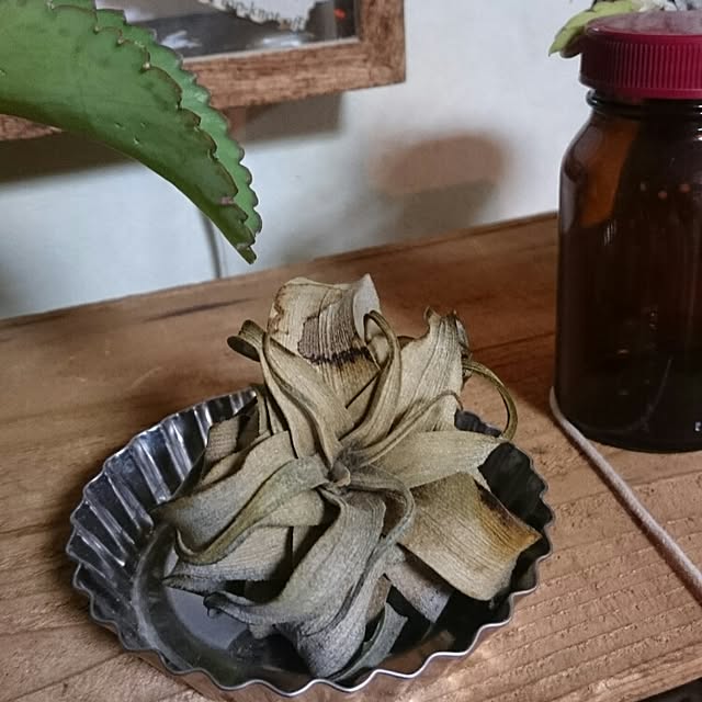 tikuwaさんの実例写真