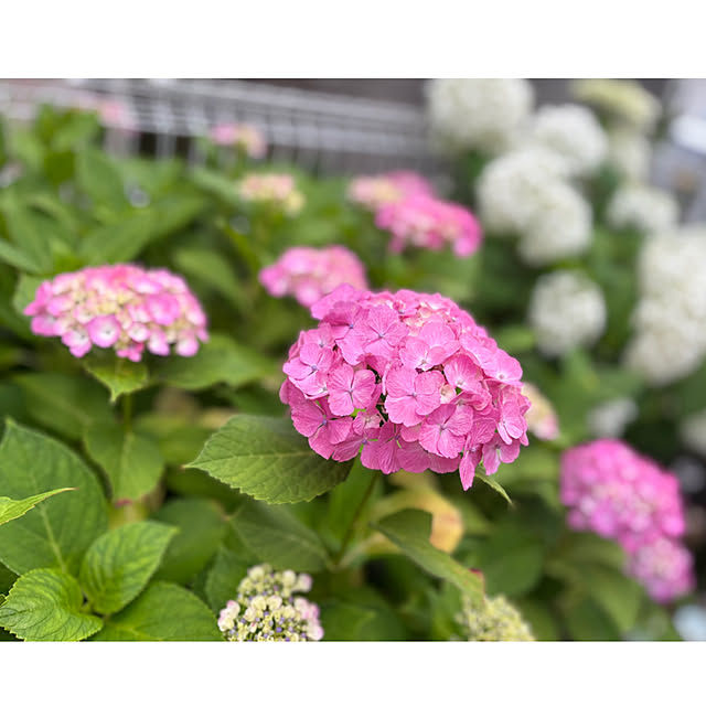 CoCo0617さんの実例写真