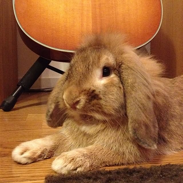 mie@hibarishaさんの実例写真