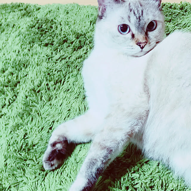 nachuさんの実例写真