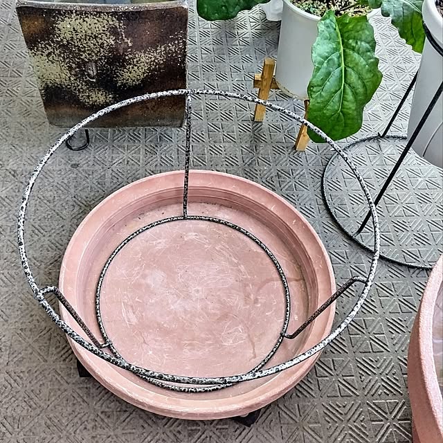 mi-saさんの部屋