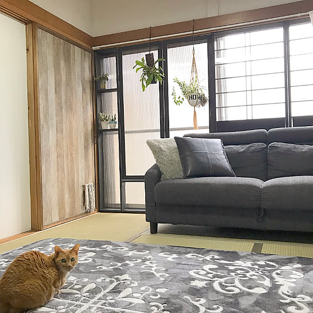 10ri5100さんの実例写真