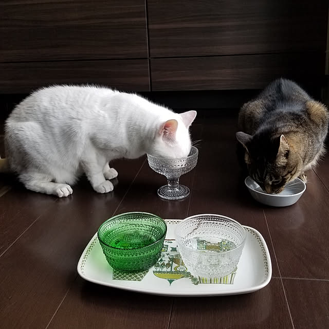 ymmtさんの実例写真