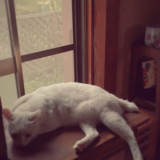 amifuuさんの実例写真