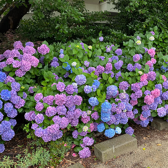 nori918さんの実例写真