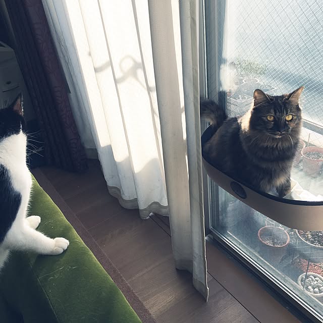 mikomaruさんの実例写真