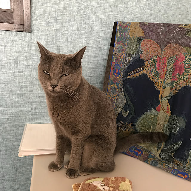 73さんの実例写真