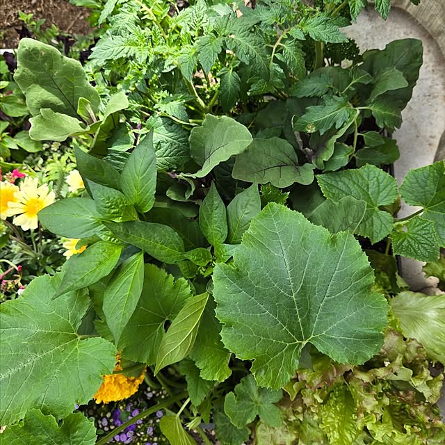 min_nimさんの部屋