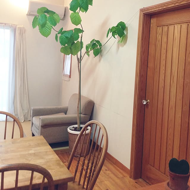 .mayumayu.さんの実例写真