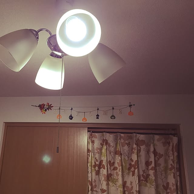 実例写真