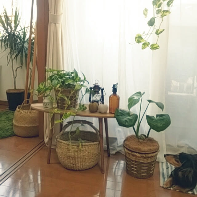 reonさんの実例写真