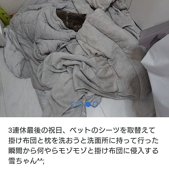 noguriさんの部屋