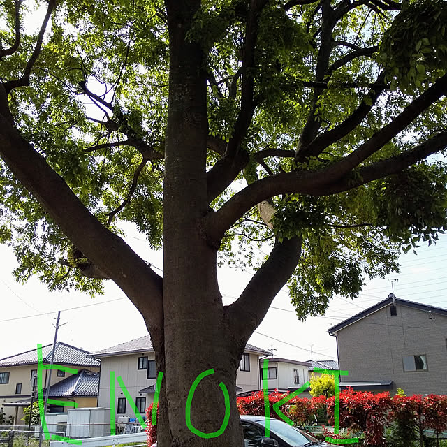 torao0945さんの実例写真
