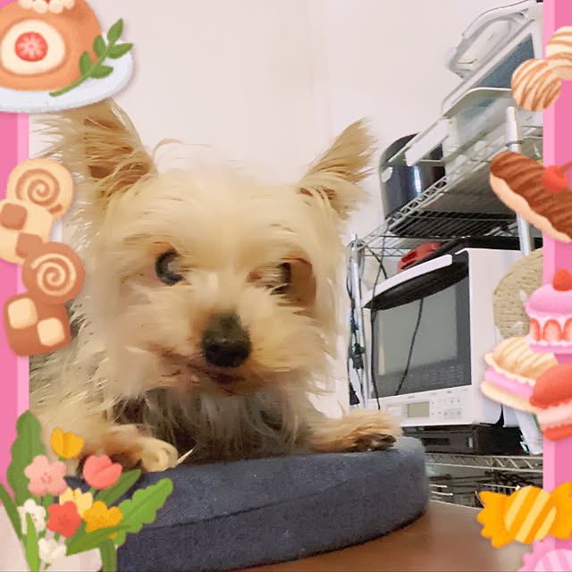 ohanaさんの実例写真