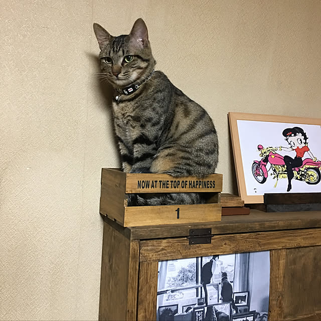 kmakkyiさんの実例写真