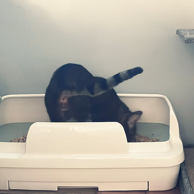 yuzuaoさんの実例写真