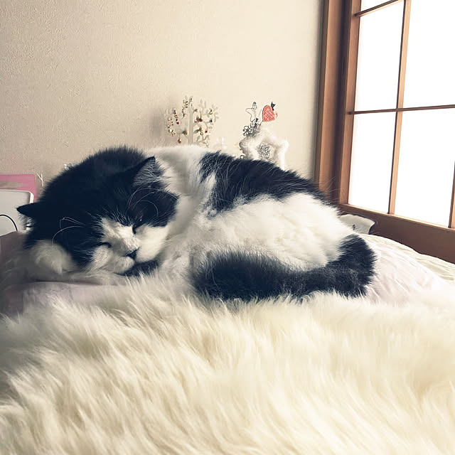 reonさんの実例写真