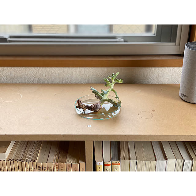 ht6030さんの実例写真