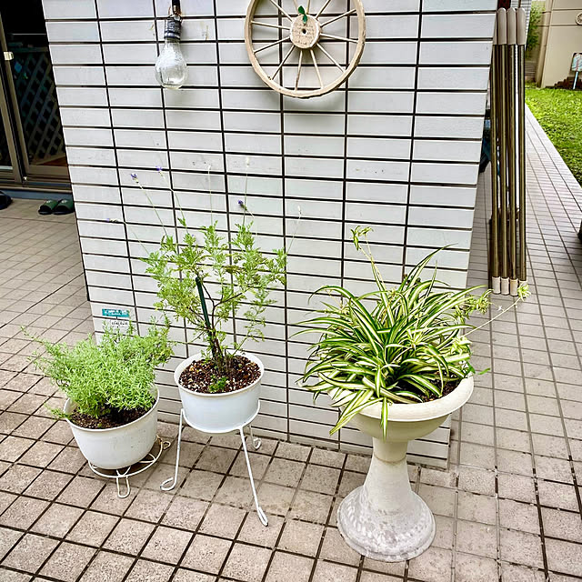 YuuKoさんの部屋