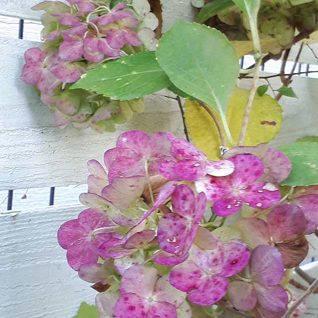 min_nimさんの実例写真