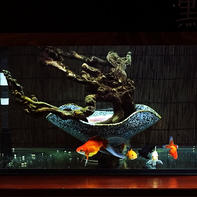 poiさんの実例写真