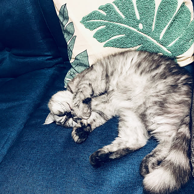 Marinさんの実例写真