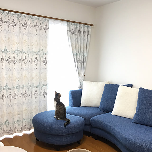 kotoriさんの実例写真