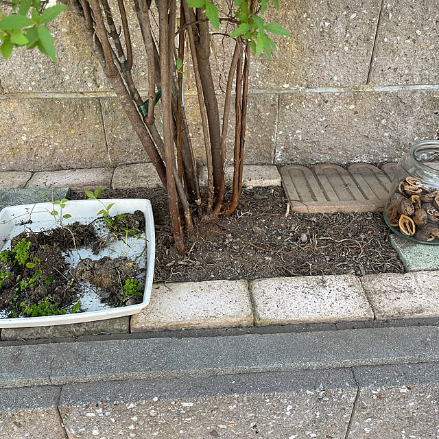 kikiさんの実例写真