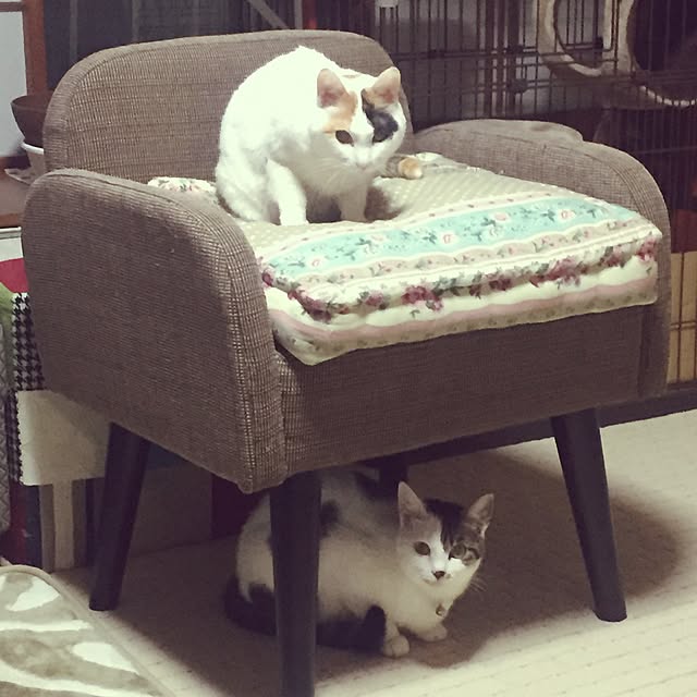 yocchiさんの実例写真