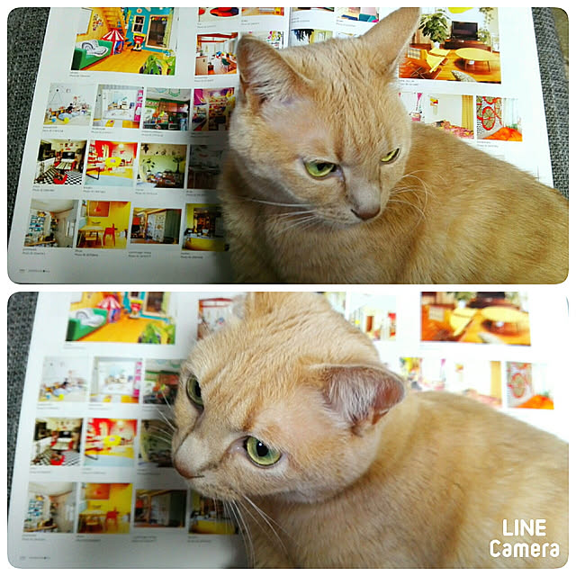nana.maroさんの実例写真