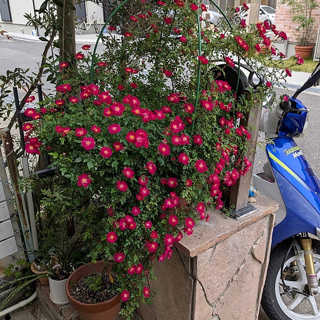 tanokyon.0228さんの実例写真