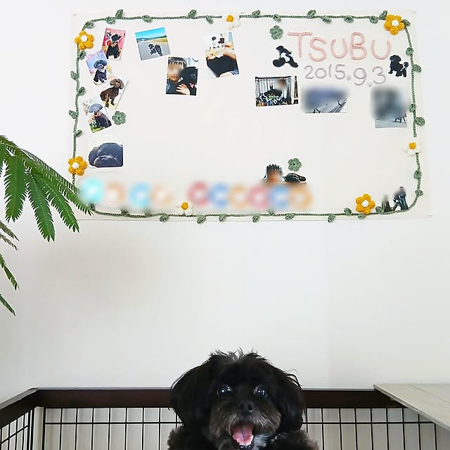 womiさんの実例写真