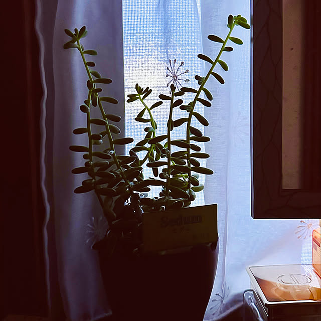 chacoさんの実例写真